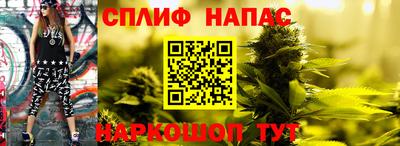 амф Коммунар