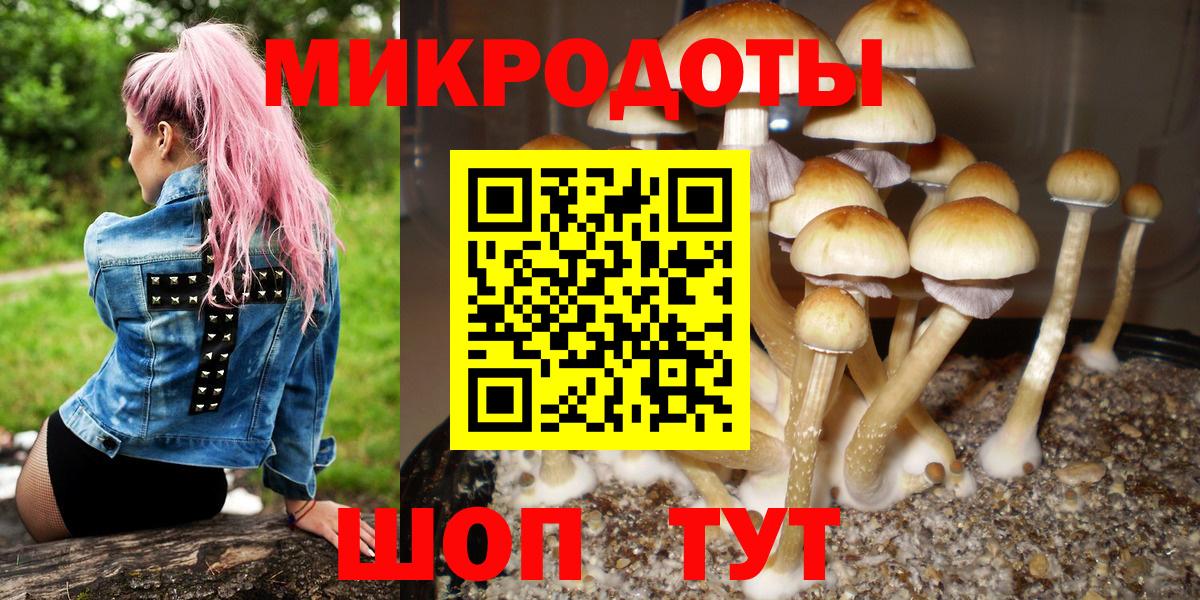 Галлюциногенные грибы Cubensis  Галлюциногенные грибы ЛСД  купить наркоту  Краснознаменск  Вход с VPN 